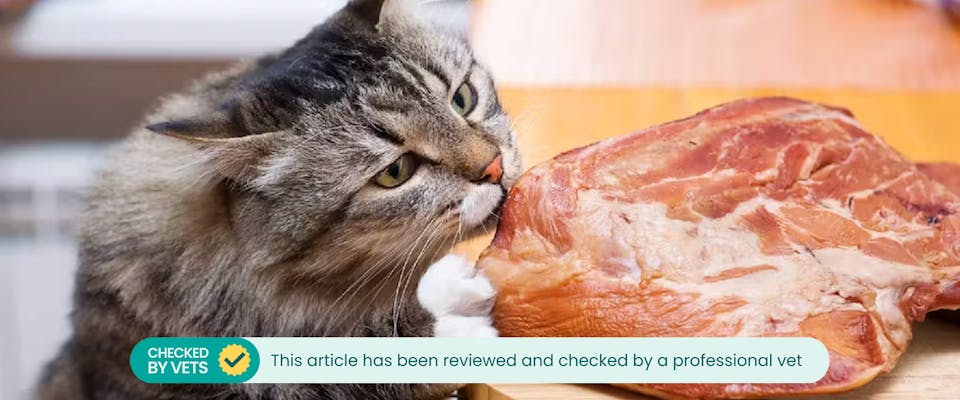 Can cats eat hot sale pork